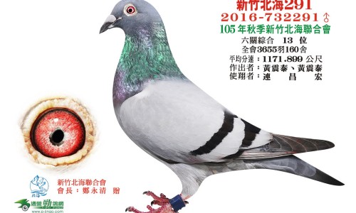 醋没药的功效和作用是什么-醋没药的功效网醋没药的功效和作用是什么知识网站,分享醋没药的功效与作用的功能与主治与用量大全
